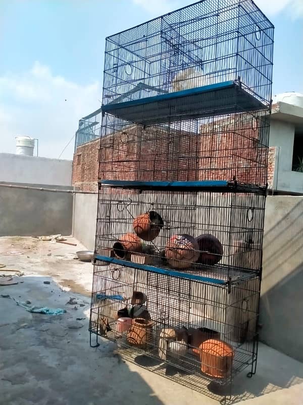 Hens and parrots cage for sale in good condition 4