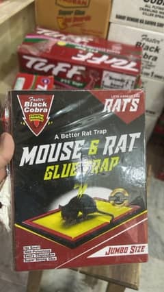 Rat trap Book