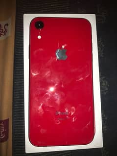 iPhone XR