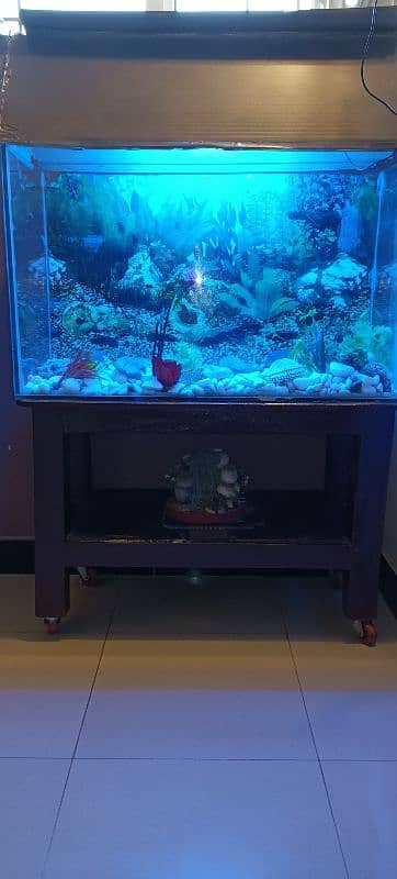 aquarium without fish box 5