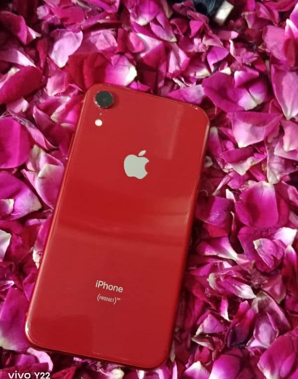 iphone XR 0