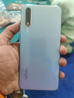 vivo