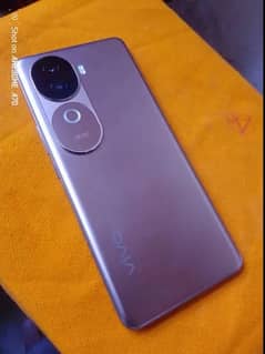 vivo v40e 8+8=256