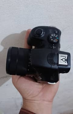 sony mirrorless DSLR camera