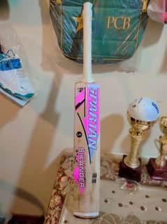 cricket bat