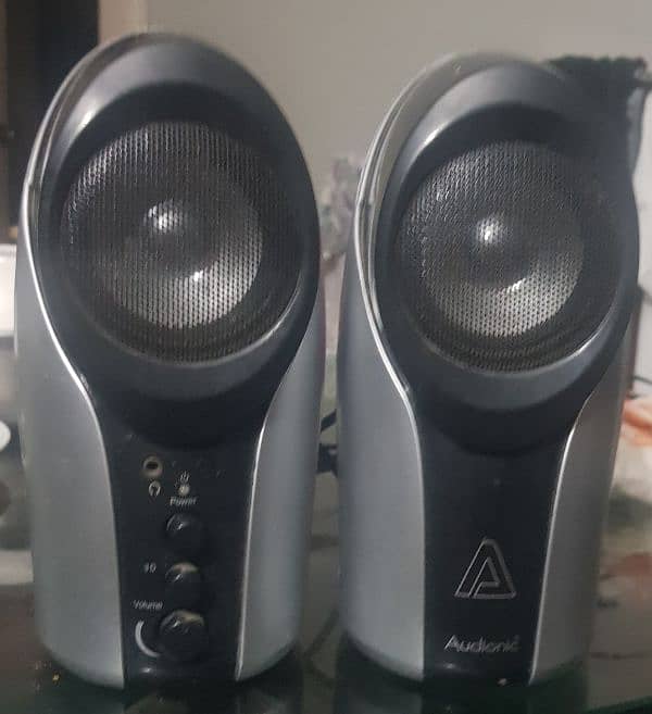 Audionic computer Speakers 1