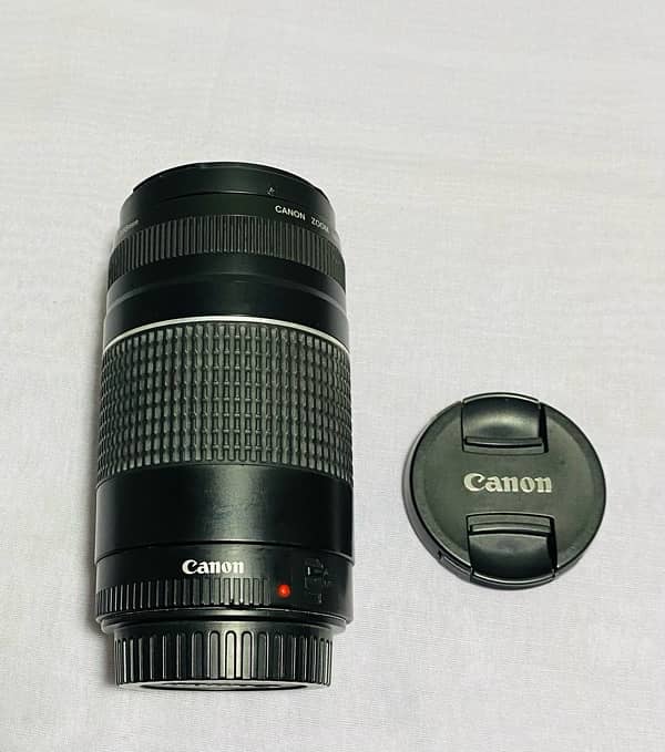 Canon 750D with 50 mm and 75-300 Lens 4