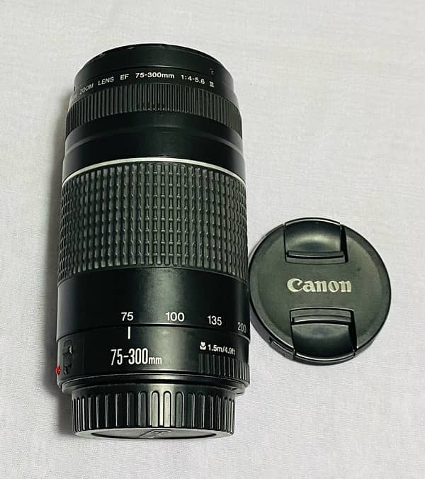 Canon 750D with 50 mm and 75-300 Lens 5