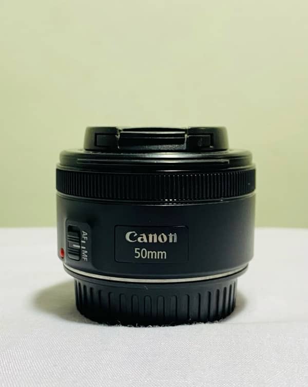 Canon 750D with 50 mm and 75-300 Lens 10