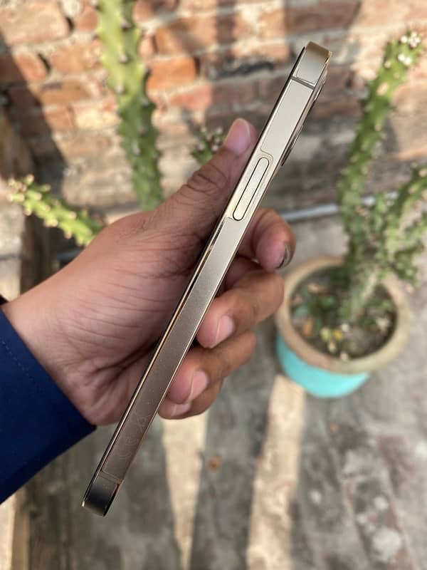 iPhone 12 pro 128 Factory Non PTA 4