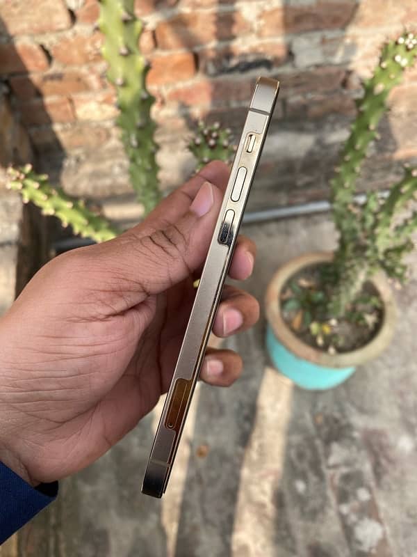 iPhone 12 pro 128 Factory Non PTA 5