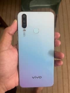 Vivo