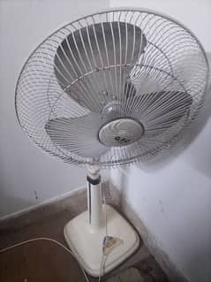 Fan