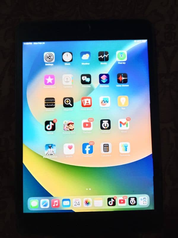 ipad mini 5 0