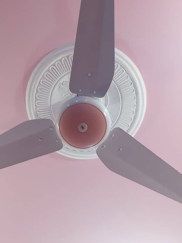 SK FAN 2