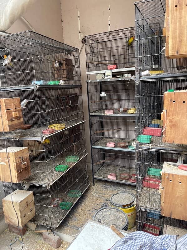 Cage For sell 3ft/2.5ft/1.5ft Box Availabl. . Brooder & Seed cleaner 0