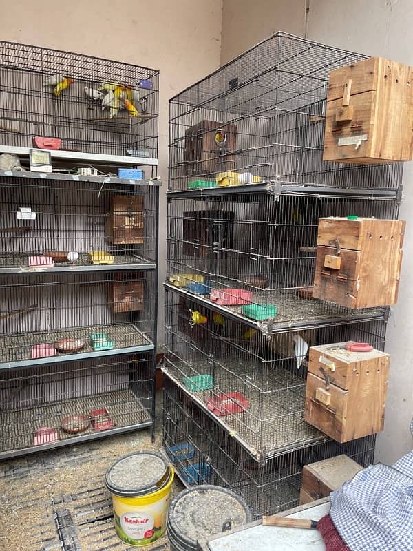 Cage For sell 3ft/2.5ft/1.5ft Box Availabl. . Brooder & Seed cleaner 1