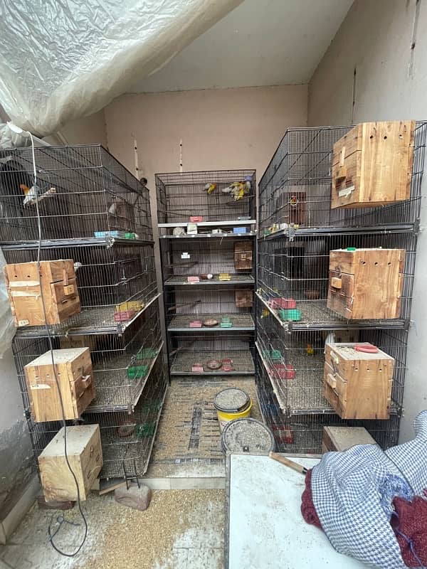 Cage For sell 3ft/2.5ft/1.5ft Box Availabl. . Brooder & Seed cleaner 2
