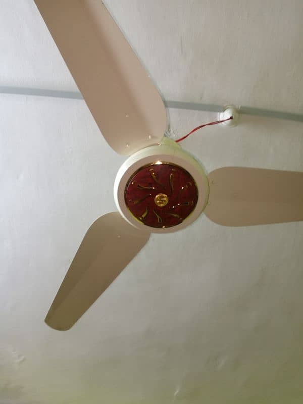 3 celling fans urgent sale 0