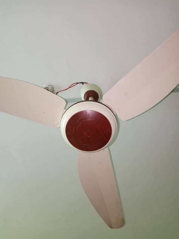 3 celling fans urgent sale 1