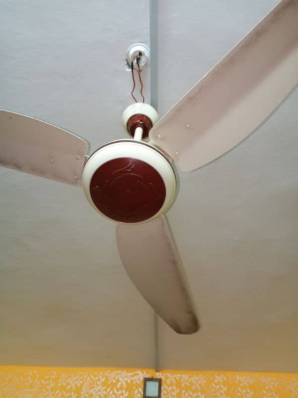 3 celling fans urgent sale 2