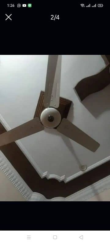 Celling Fans 05 Fans Available each Fans price 6000 0