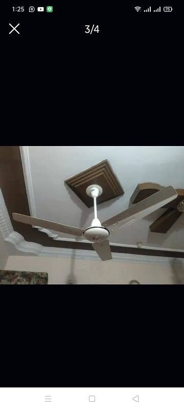 Celling Fans 05 Fans Available each Fans price 6000 1