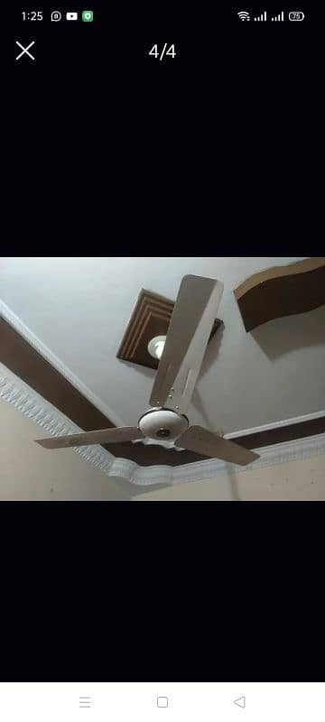 Celling Fans 05 Fans Available each Fans price 6000 3