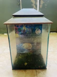 Aquarium