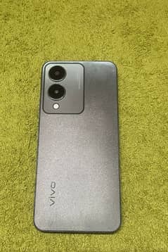 VIvo