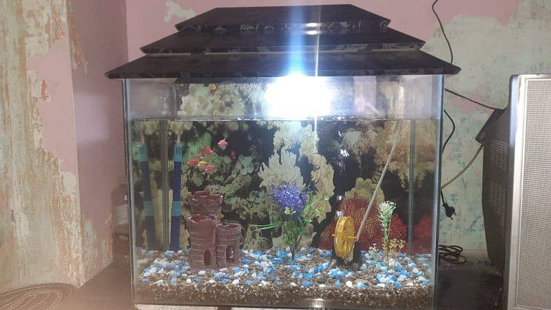 fish aquarium sale krna hai fishes ke sth hai 0