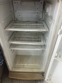 PEL Fridge