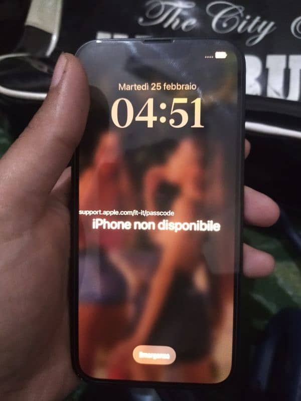 iPhone 13 iCloud locked from Italy EU no box no charger 0