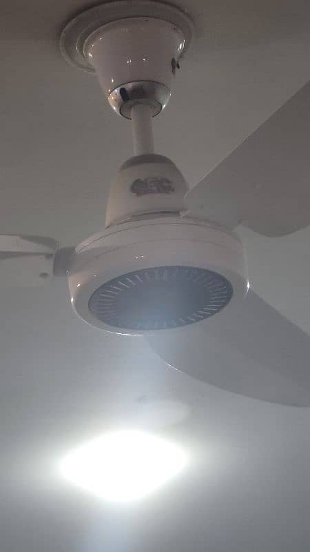 10/10 condition gfc copper ceiling fan 2