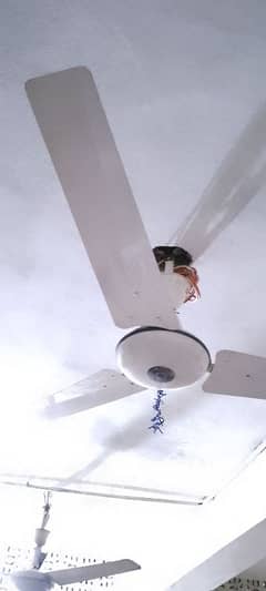 GFC ceiling fan