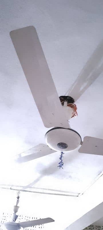 GFC ceiling fan 0