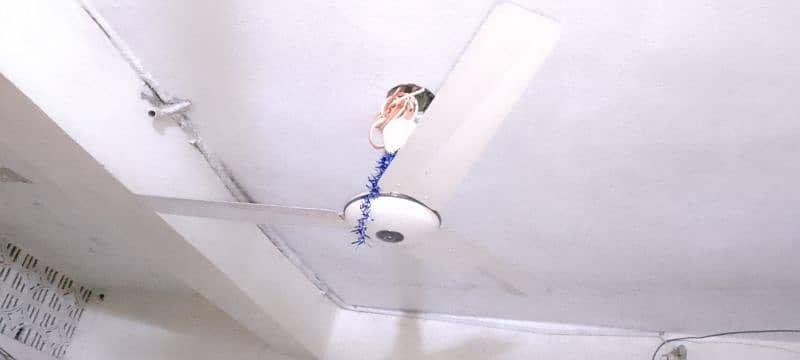 GFC ceiling fan 1