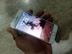 i Phone 8 ( 64 GB )