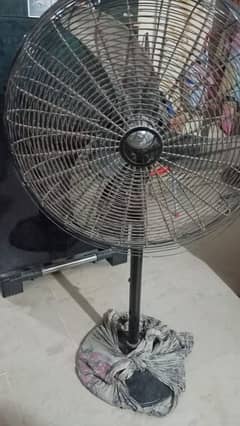 Electric fan