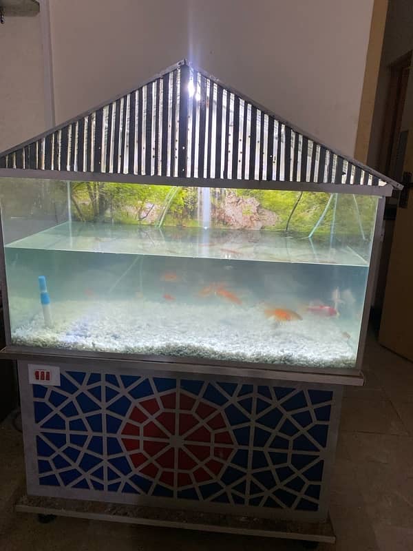 fish aquarium and fishes for sale 0