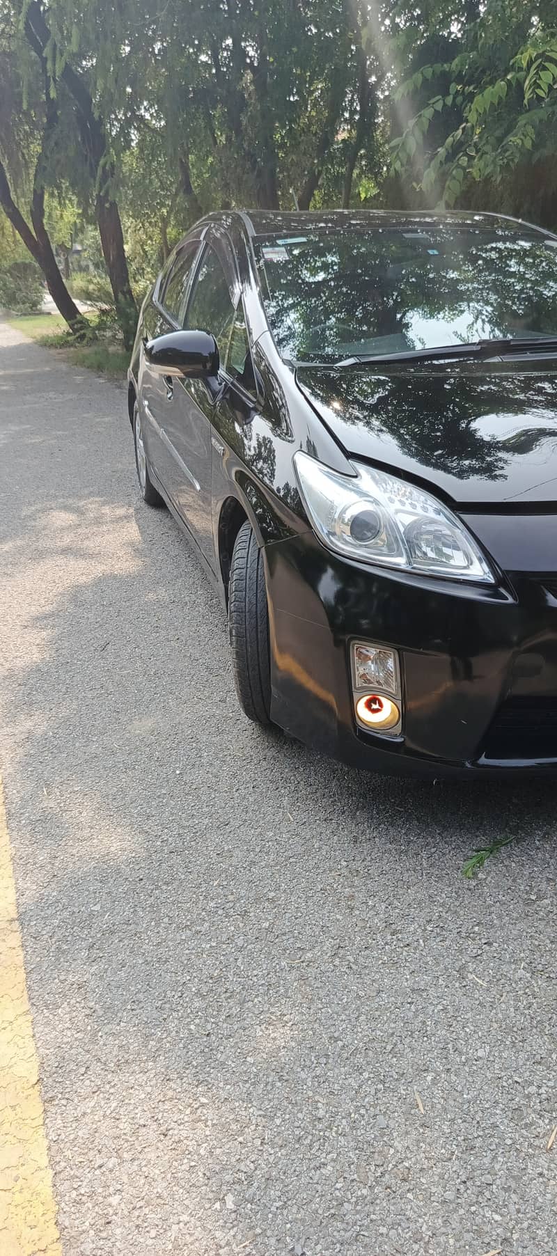 Prius 6