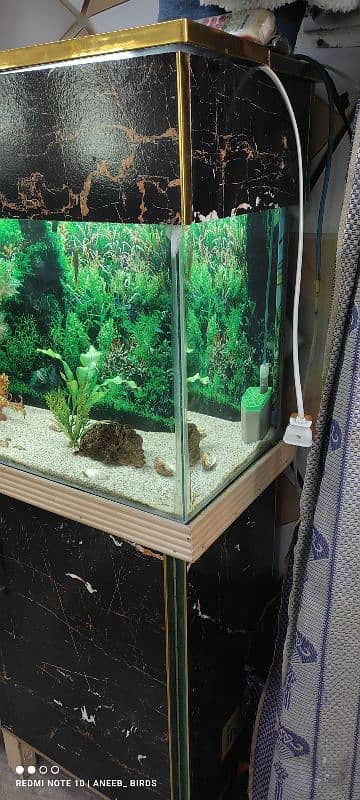 3 feet aquarium 1