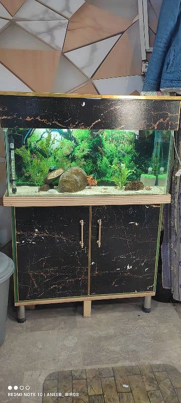 3 feet aquarium 3