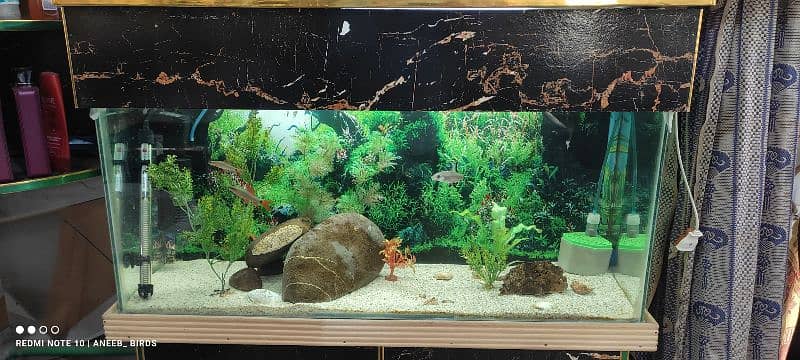 3 feet aquarium 5