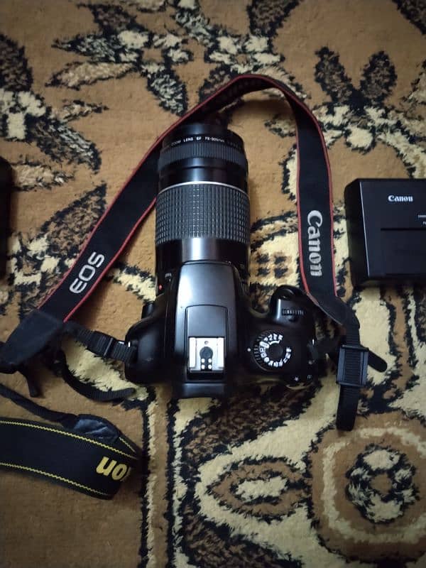 Nikon d3400 with sigma 70-300mm and canon 4000d with canon 75-300mm 3