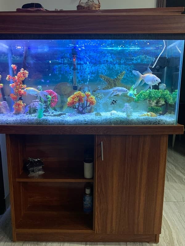 fish and all decoration are included heater and pump is not icluded 3