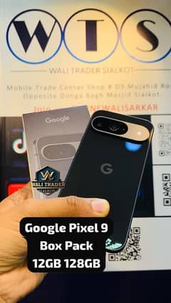 Google Pixel 9 Box Pack