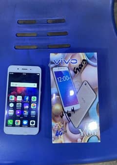 vivo