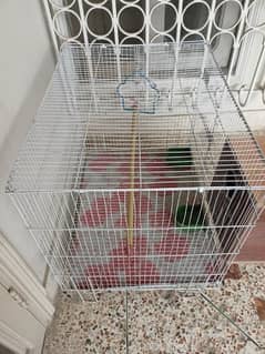 large cage for parrots