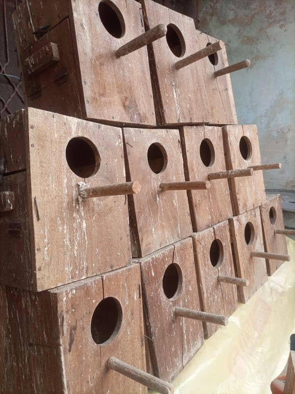 Cockatiel Boxes 2